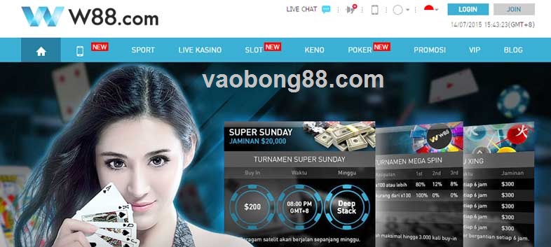 Ý nghĩa của giấy phép hoạt động kinh doanh của nhà cái W88