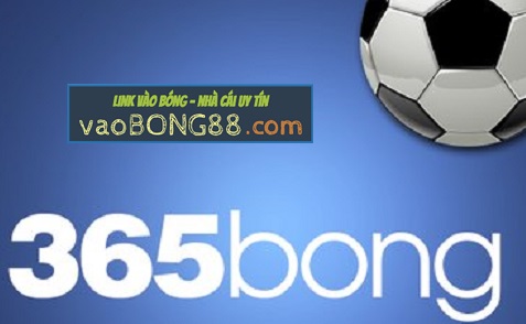 365bong