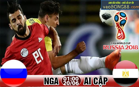 nga va ai cap