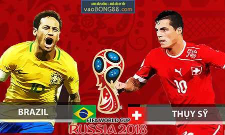 ty le brazil va thuy sy ty le brazil va thuy sy