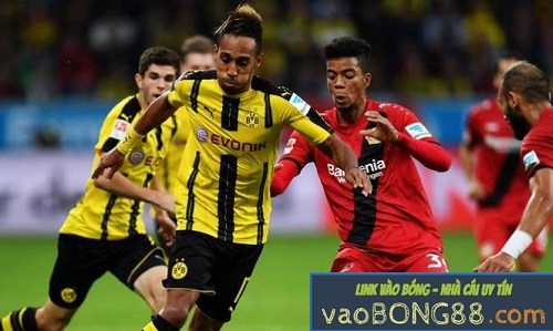 Soi kèo, Tỷ lệ cược B.Leverkusen vs B.Dortmund, 23h30 ngày 29/09