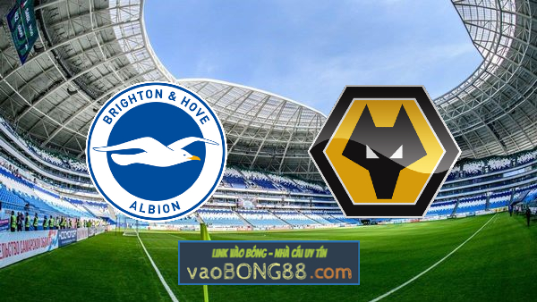 Soi kèo, nhận định Brighton vs Wolves – 00h30 – 03/01/2020