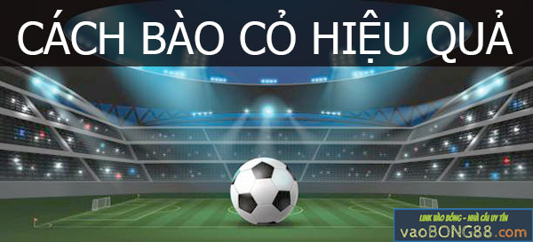 Tìm hiểu cách bào cỏ kiếm tiền từ nhà cái hiệu quả