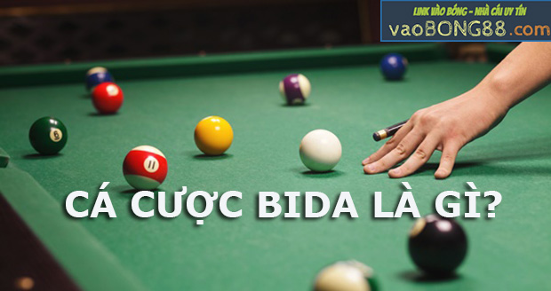 Hướng dẫn cách chơi cá cược Bida trực tuyến tại W88