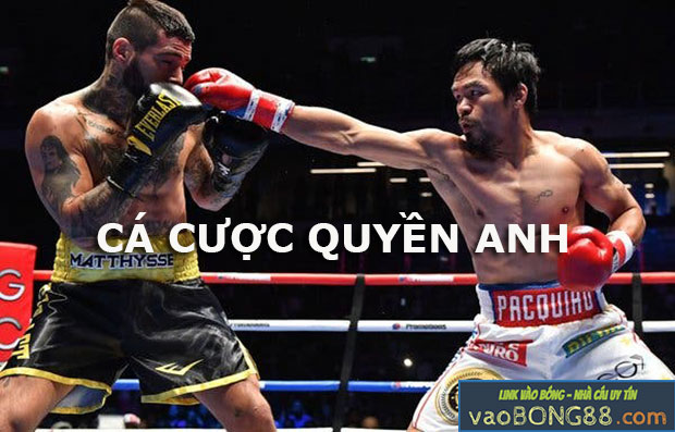 Hướng dẫn cách chơi cá cược quyền anh tại nhà cái trực tuyến
