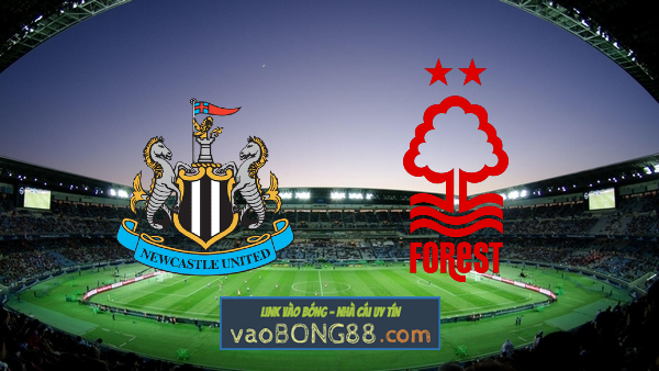Soi kèo nhà cái Vn88 nhận định Newcastle vs Nottingham – 21h00 – 06/08/2022